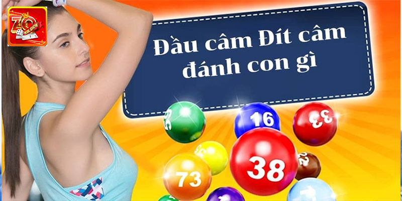 Phân tích một số lô câm phổ biến nhất