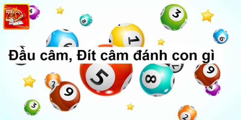 Giải mã đầu đít câm đánh lô gì hợp lý